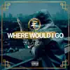 tzbeats - Where Would I Go? (feat. J.Nazario) - Single